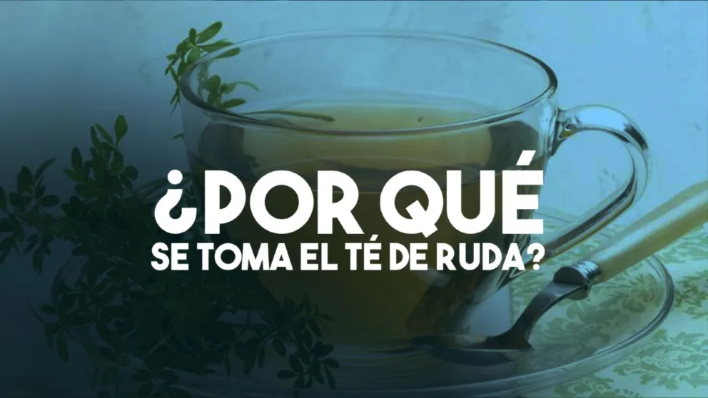 ¿Por qué se toma té de ruda el 1° de agosto?