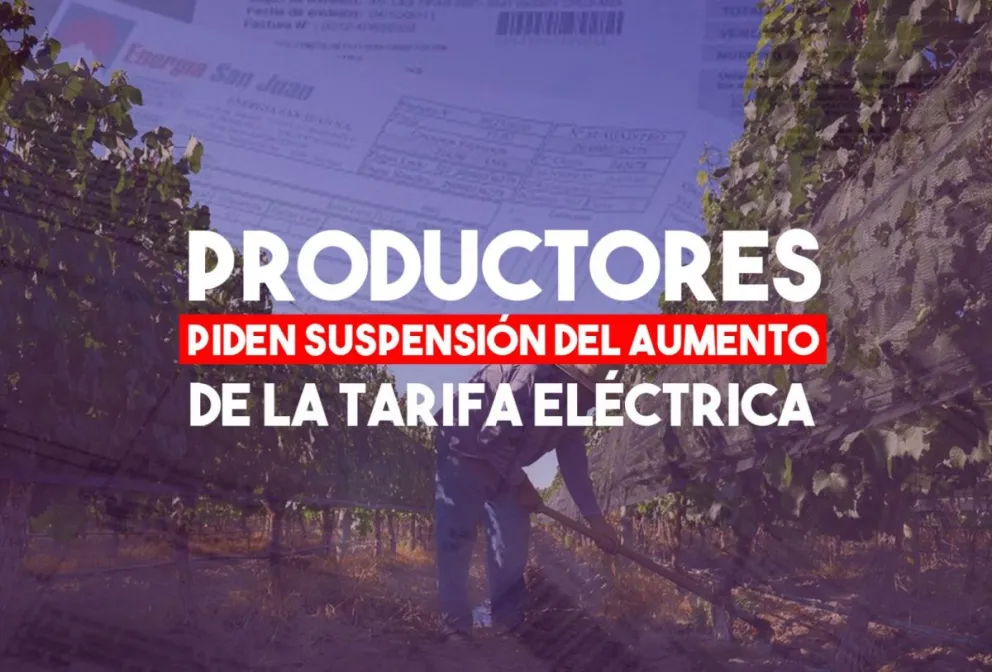 Productores insisten en que suspendan la aplicación del aumento de la tarifa eléctrica