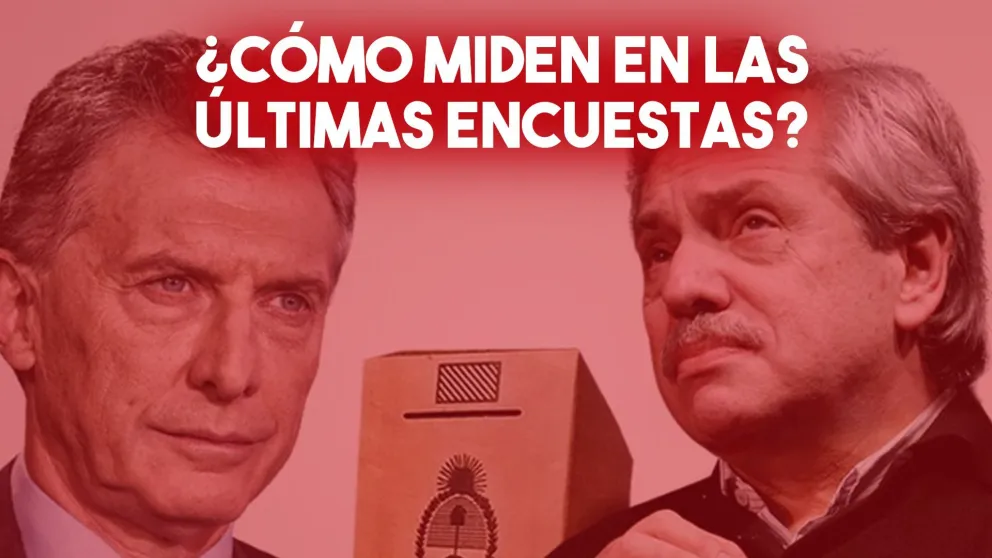 Últimas encuestas antes de las PASO: cómo llegan Macri y Alberto al primer round