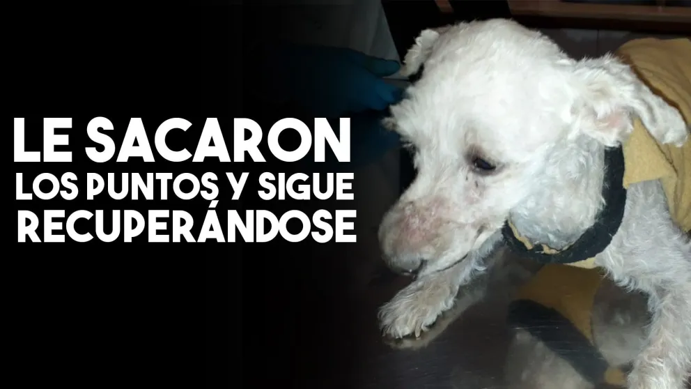 Les sacaron los puntos a Mili y su mejoría es notable