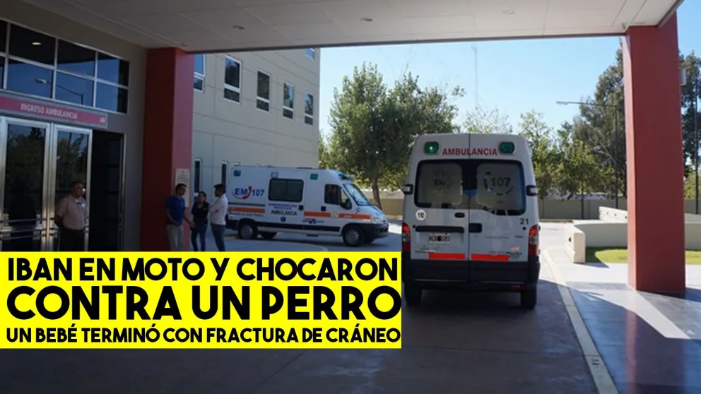 Iban en moto se les atravesó un perro y chocaron: un bebé muy grave