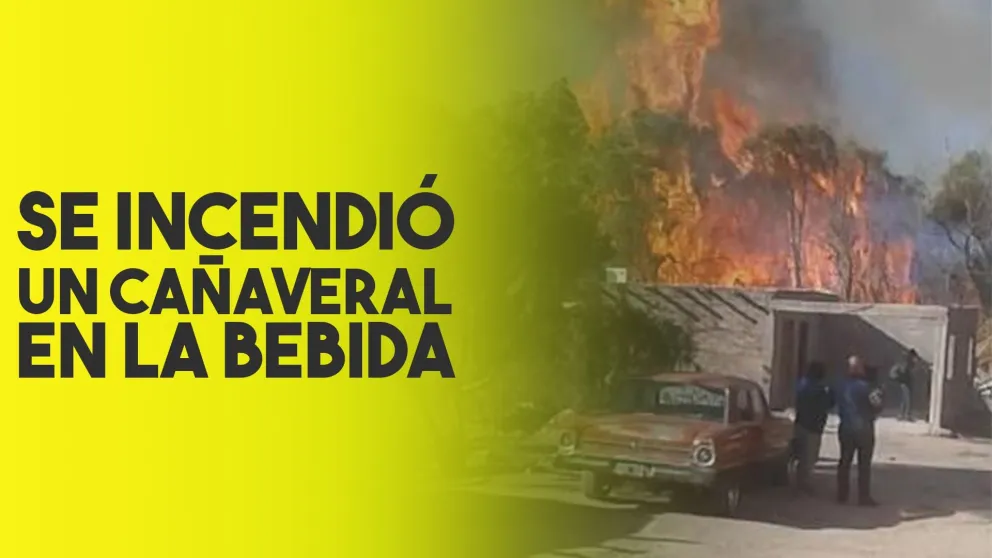 Se incendió un cañaveral en La Bebida y generó susto en los vecinos