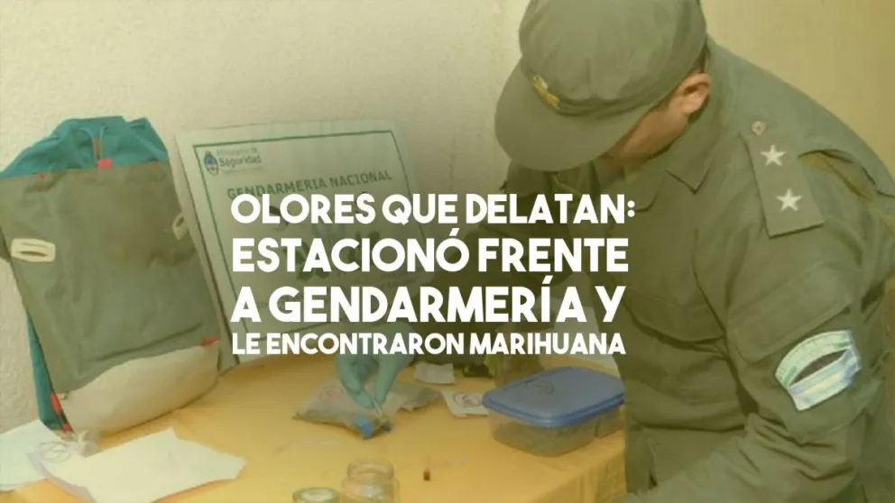 Olores que delatan: llevaba marihuana en el auto y lo detuvieron