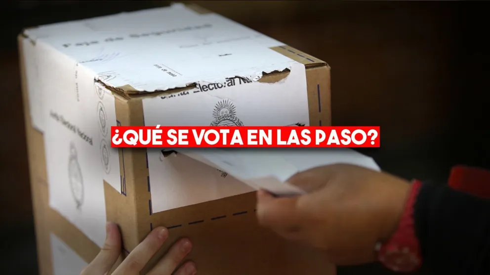 ¿Qué se vota en las PASO?