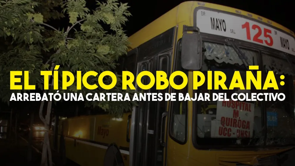 Robo piraña: lo encontraron escondido en el baño de mujeres de una escuela