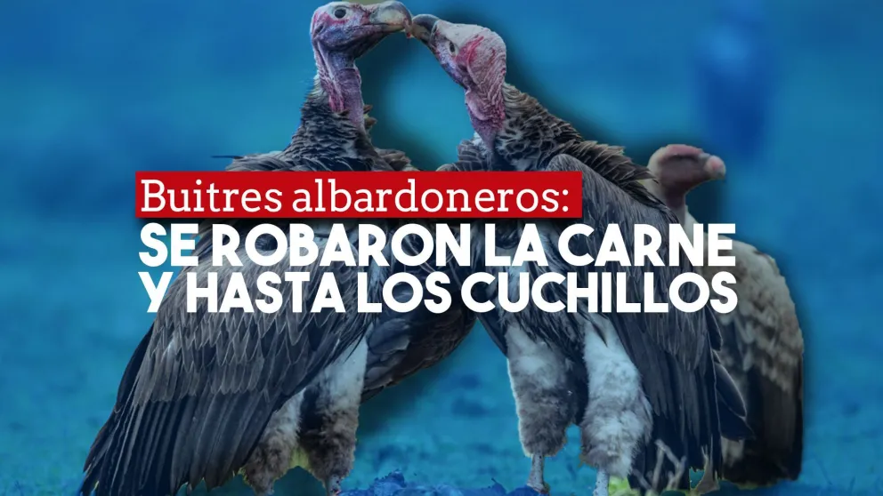 Delincuentes atacaron a un carnicero en Albardón