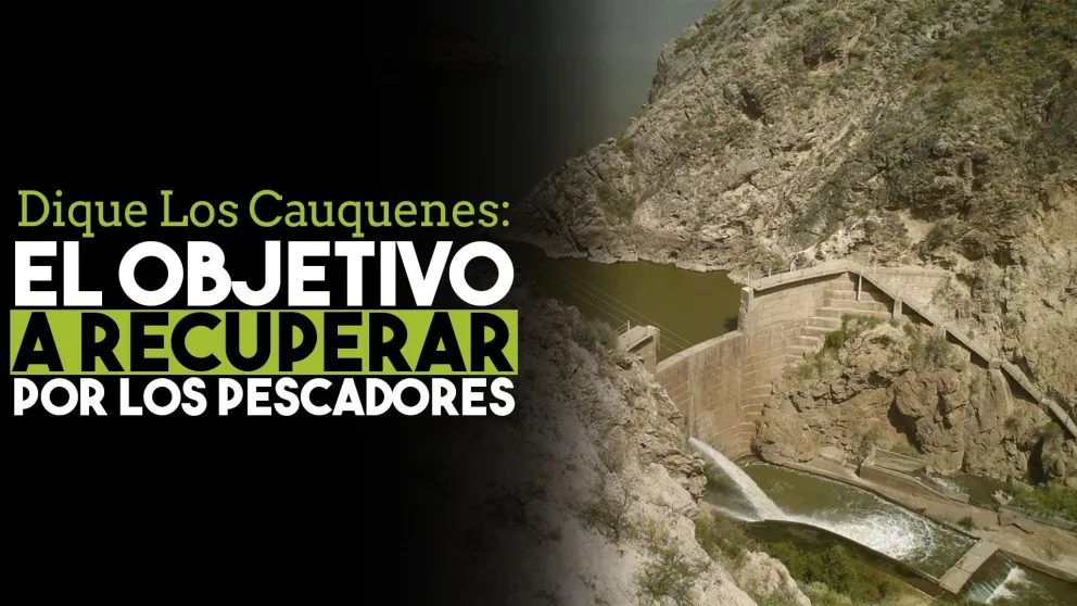 Quieren recuperar la pesca y el turismo en el Dique Los Cauquenes
