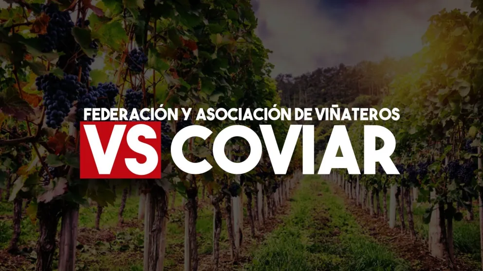 Cruces ente viñateros y COVIAR por el Plan Estratégico Vitivinícola 2030