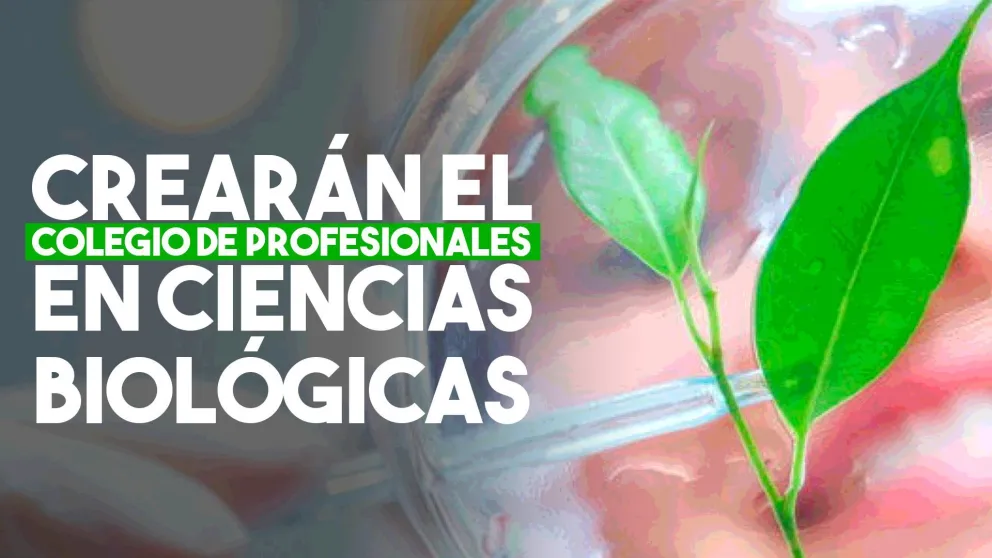 Aprobaron la creación del Colegio de Profesionales en Ciencias Biológicas