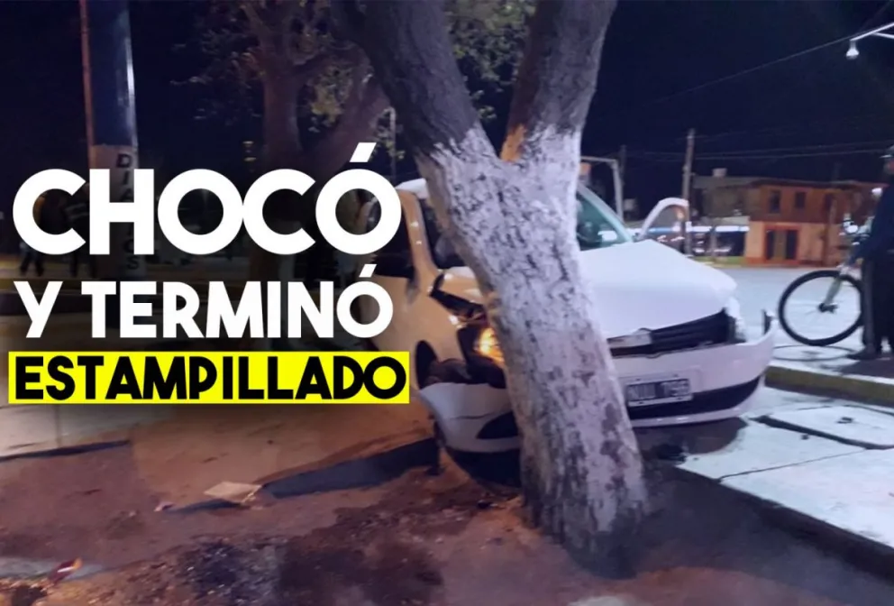 Chocaron y uno de ellos terminó contra un árbol