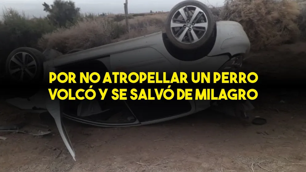 Volcó por tratar de esquivar un perro y se salvó de milagro