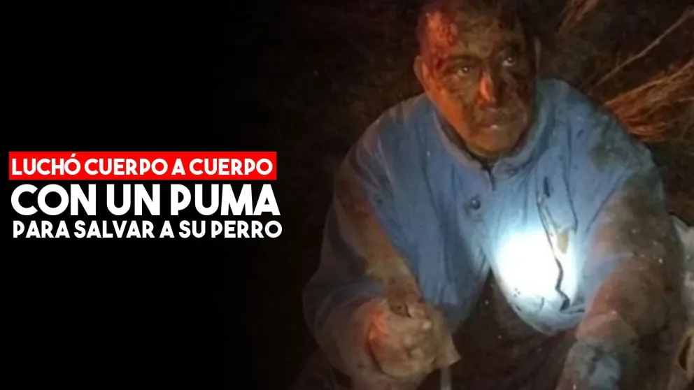 Sólo y armado con un cuchillo, mató a un puma para salvar a su perro