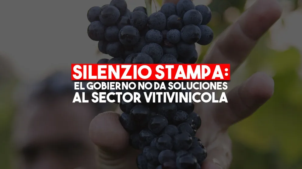El sector vitivinícola, olvidado y sin respuestas