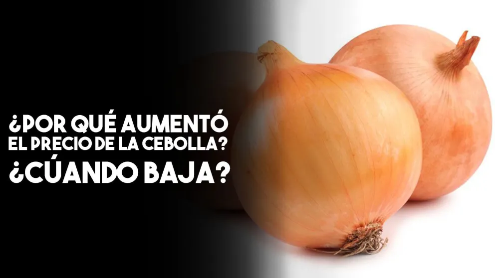 Se disparó el precio de la cebolla