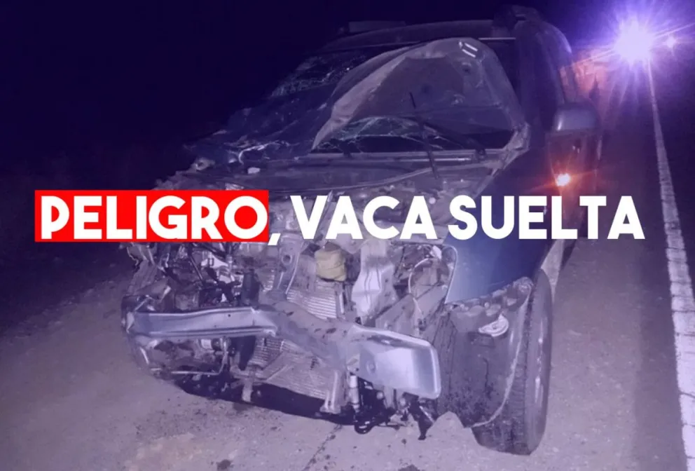 Chocaron una vaca en Ruta 40 y se salvaron