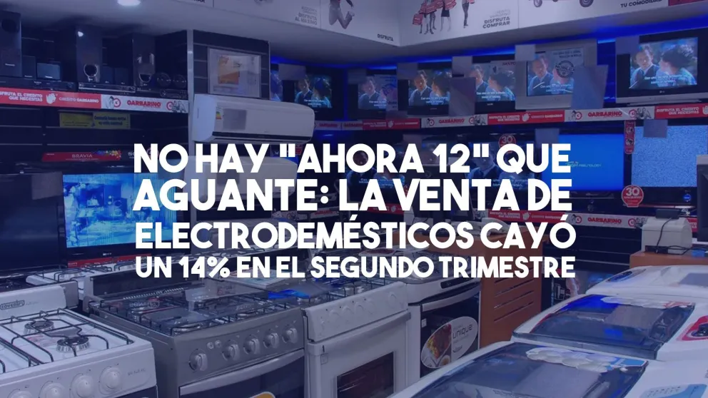 Ni el "Ahora 12" pudo contener la caída en la venta de electrodomésticos