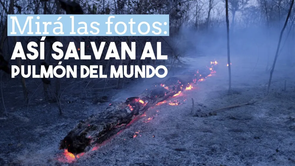 Así combaten el devastador incendio en el Amazonas