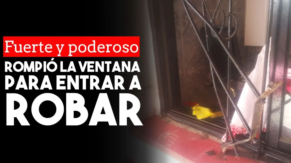 Rompió una reja y entró a robar un televisor