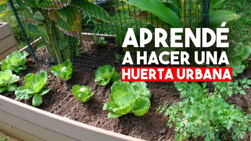 Dictarán un taller de huerta urbana