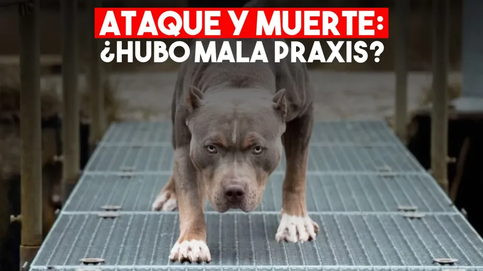 Murió una abuela después de ser atacada por un Pitbull