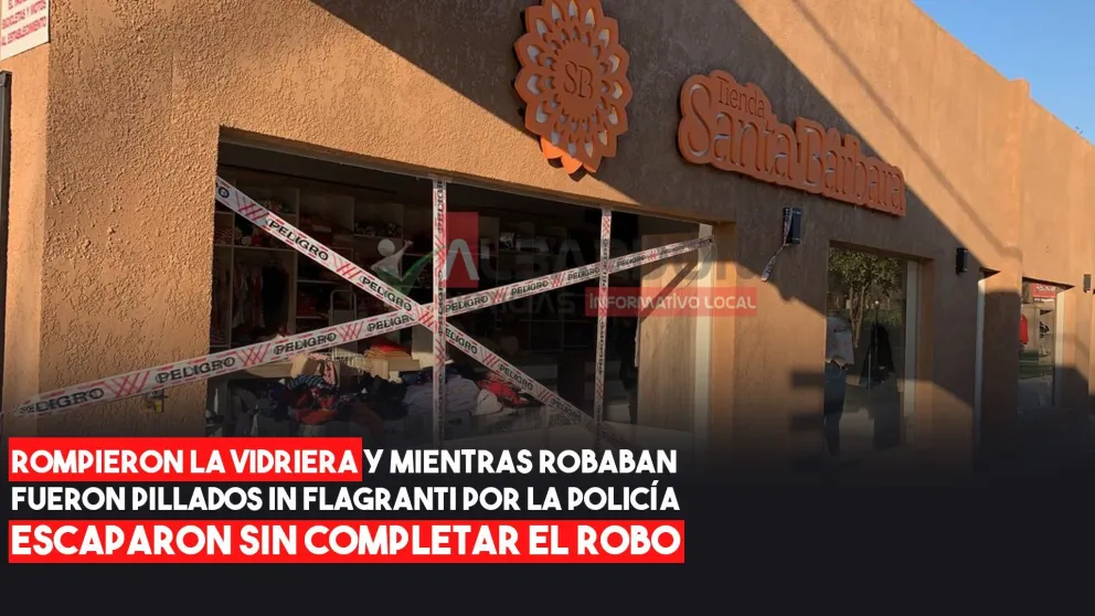 Albardón: ladrones fueron sorprendidos por la Policía mientras robaban en una tienda de ropa