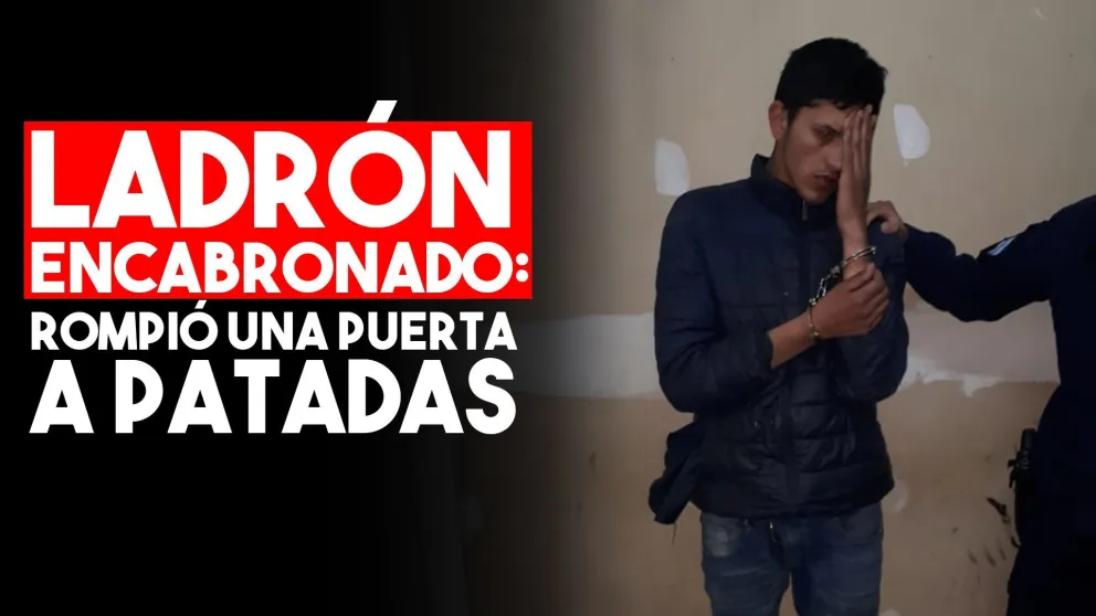 Detuvieron a un delincuente y rompió a patadas la puerta de la comisaría