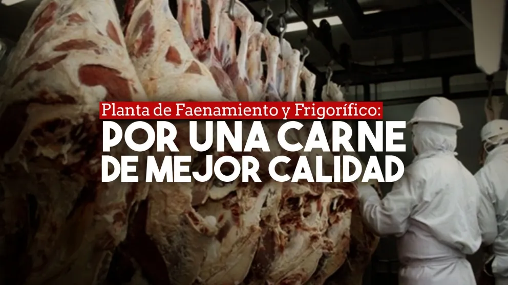 Con más de 50 trabajadores, comienza a funcionar la planta de Faenamiento y Frigorífico