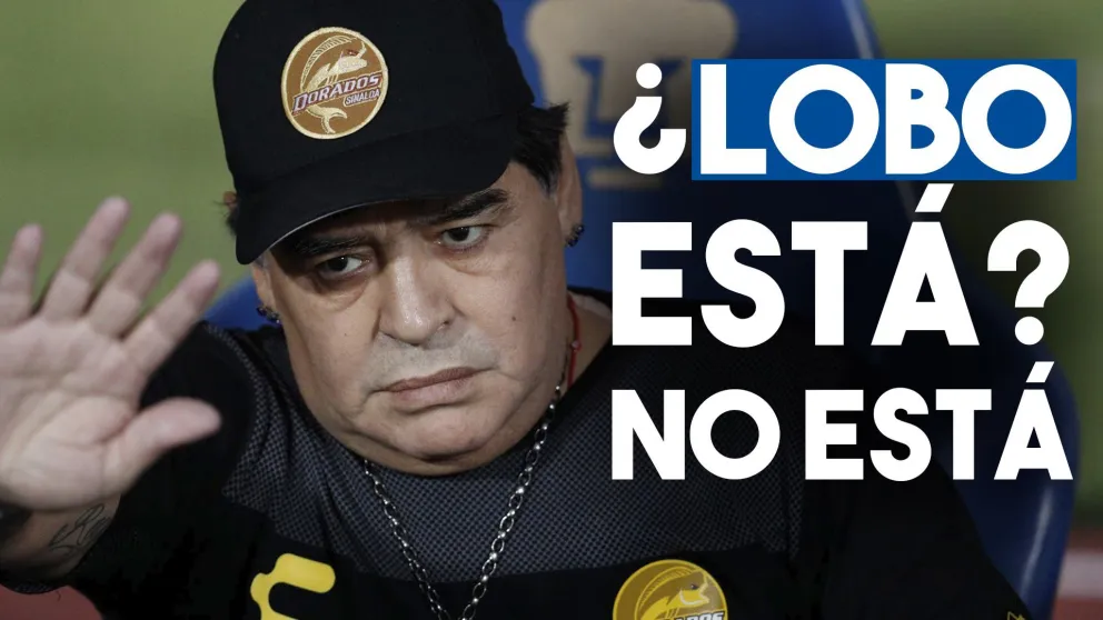 Pese a los rumores, Maradona desmintió su llegada a Gimnasia