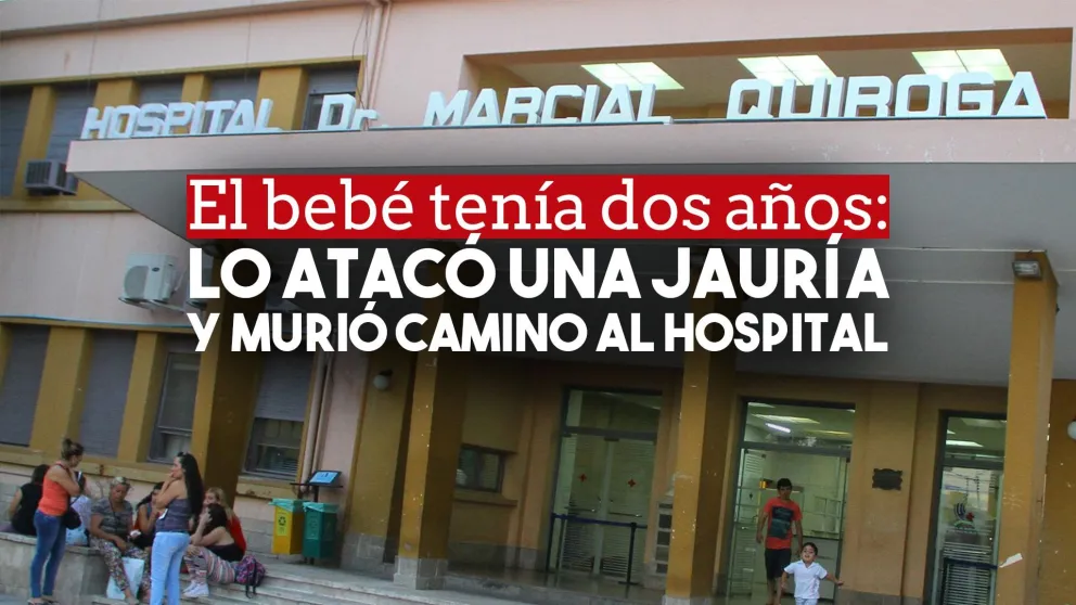 Un nene de dos años fue atacado por una jauría y murió