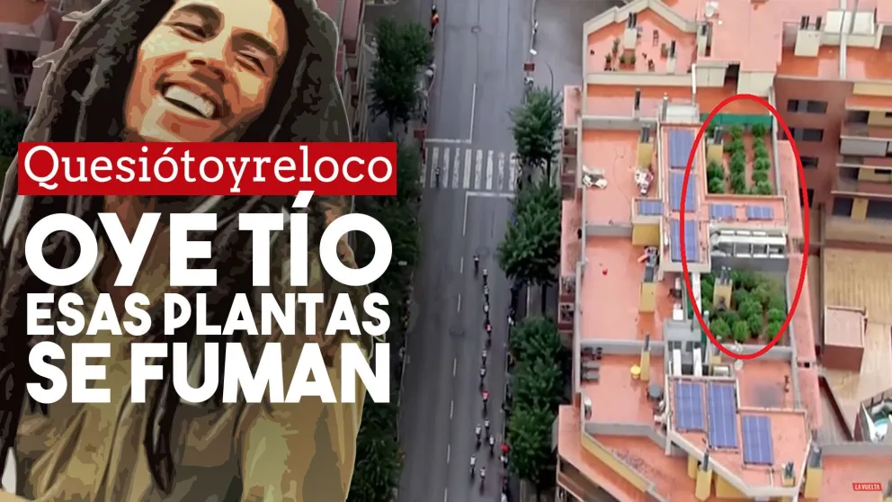 El helicóptero de la transmisión del ciclismo mostró una plantación de cannabis en una terraza de Barcelona