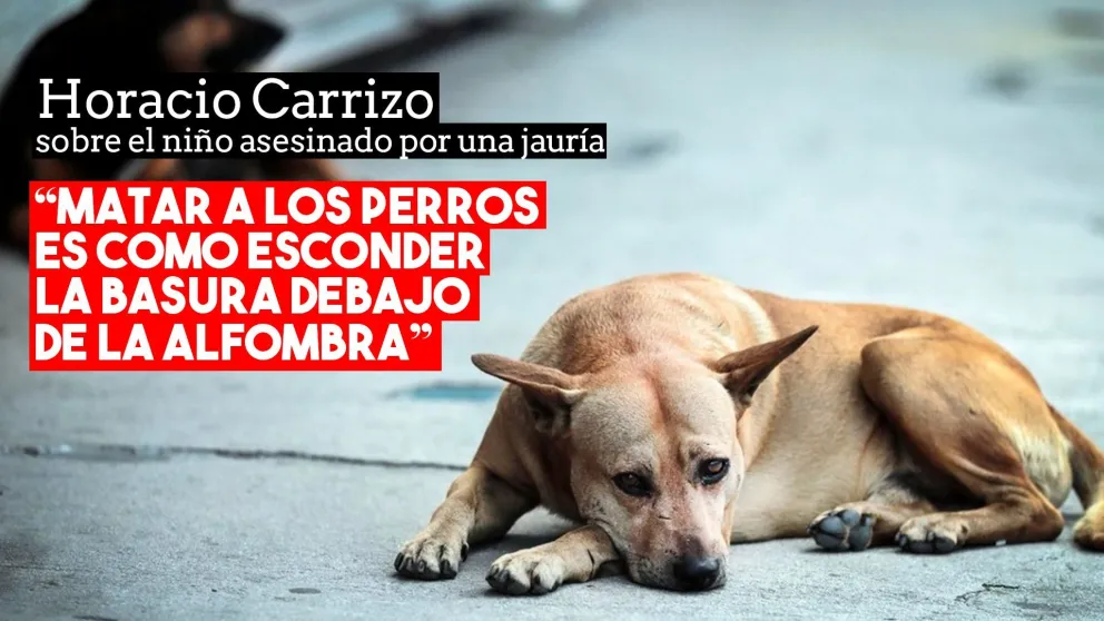 Horacio Carrizo: “Matar a los perros es como esconder la basura debajo de la alfombra”
