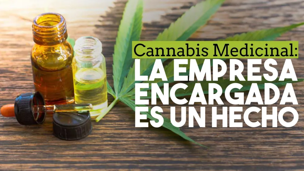 Por ley, crearon la empresa encargada del cannabis medicinal en San Juan