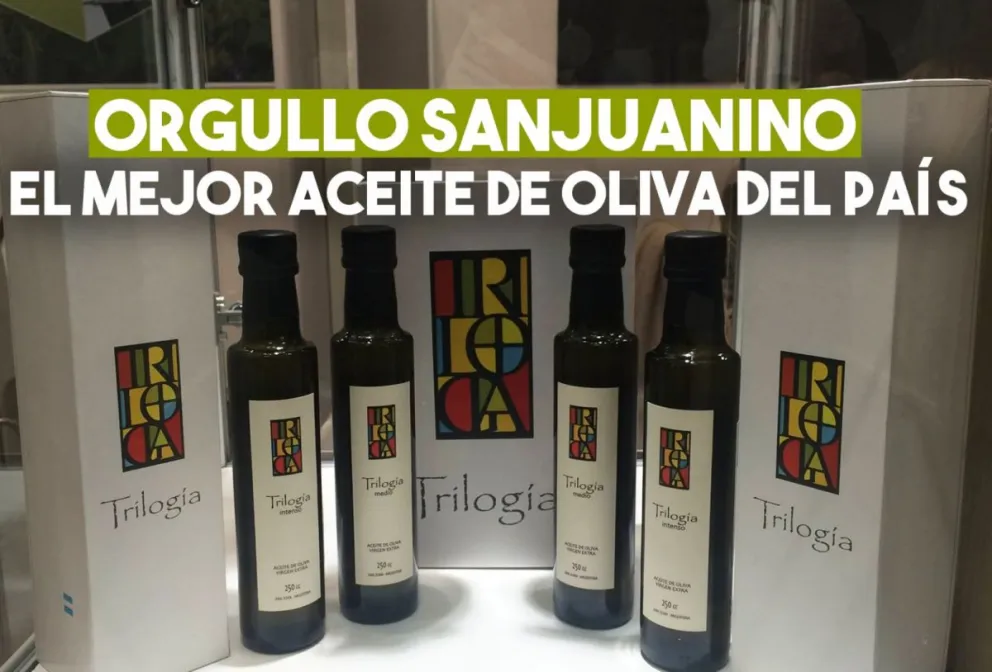 Un aceite de oliva sanjuanino, el mejor del país
