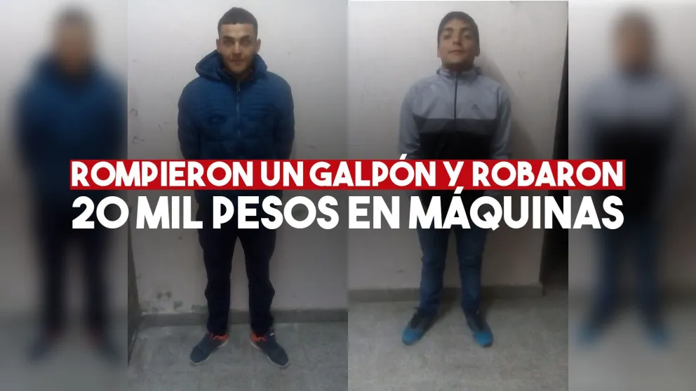 Rompieron un candado y robaron herramientas costosas de un taller zondino