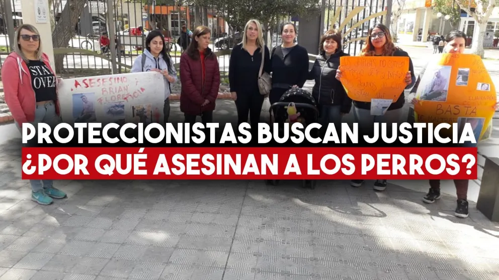 Proteccionistas viajan Angaco para pedir justicia por el asesinato de una perra