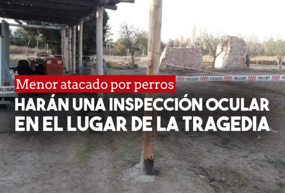 Harán una inspección ocular donde murió el nene y aseguraron que los perros están con una proteccionista