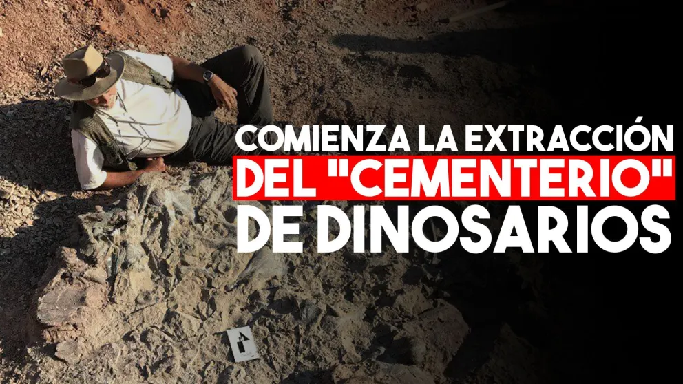 Comienzan las obras para extraer los fósiles hallados en Valle Fértil