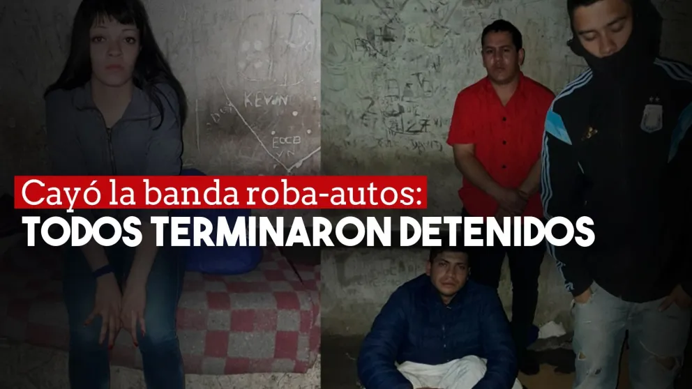 Los atraparon robando un auto y lesionaron a un policía a golpes