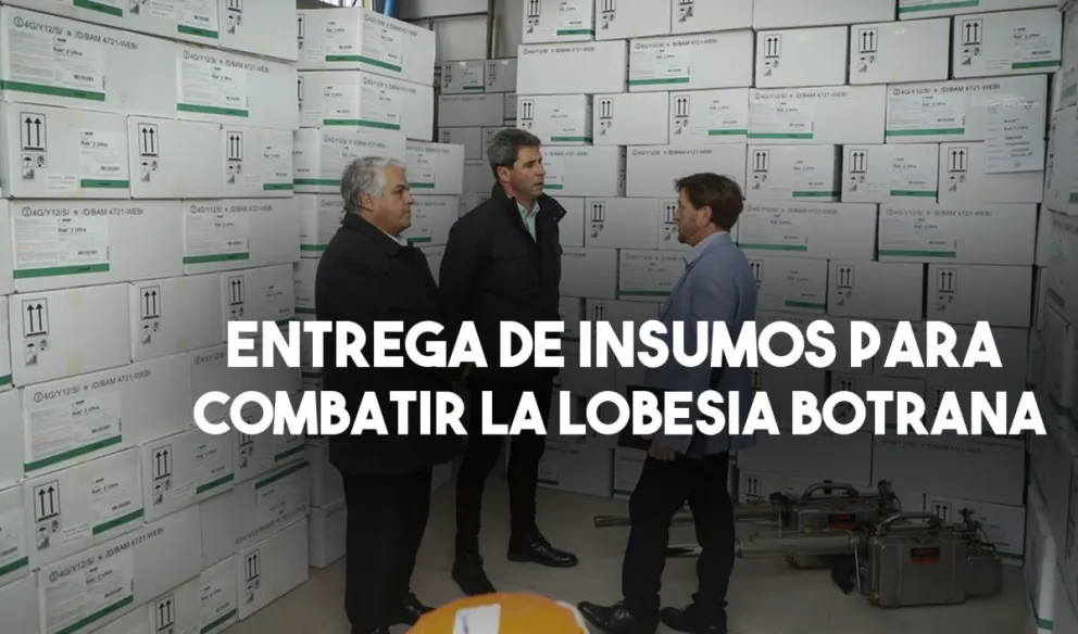 La Provincia destina 180 millones de pesos para combatir la polilla de la vid