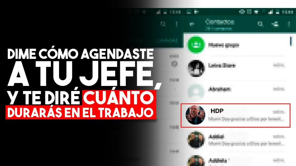 Agendó a su jefe con un insulto y lo despidieron