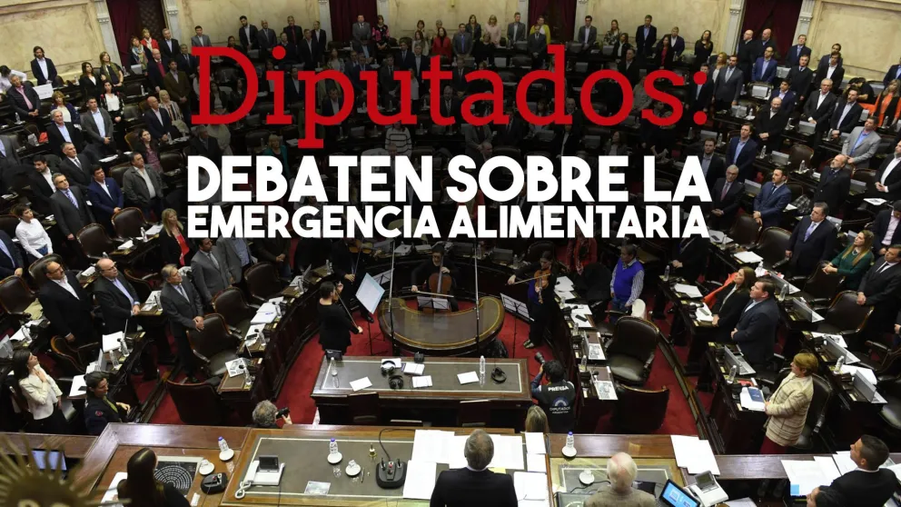 Tratan la Emergencia Alimentaria en Diputados
