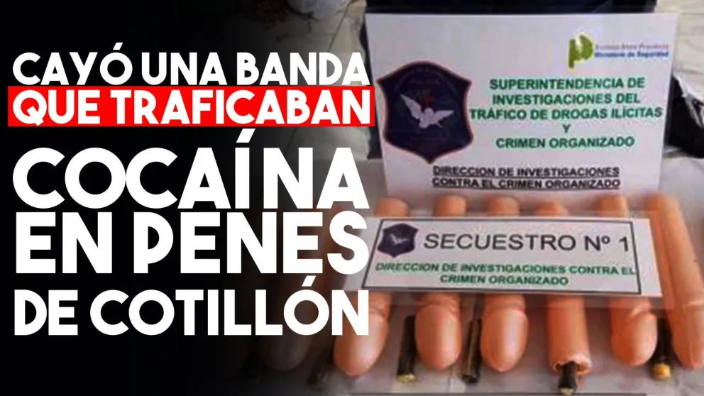 Traficaban droga en penes de cotillón: hay ocho detenidos