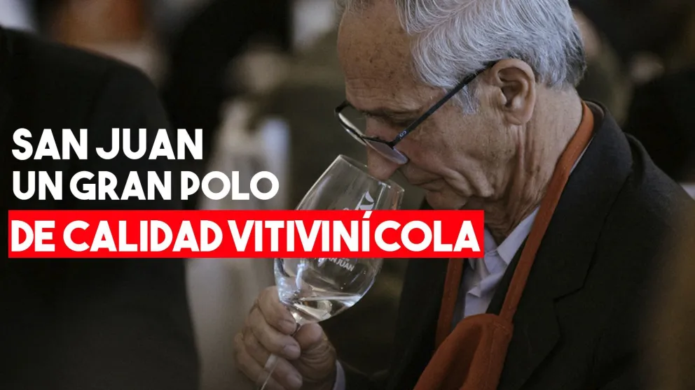 EVISAN 2019: más del 92% de los vinos sanjuaninos alcanza altos estándares de calidad