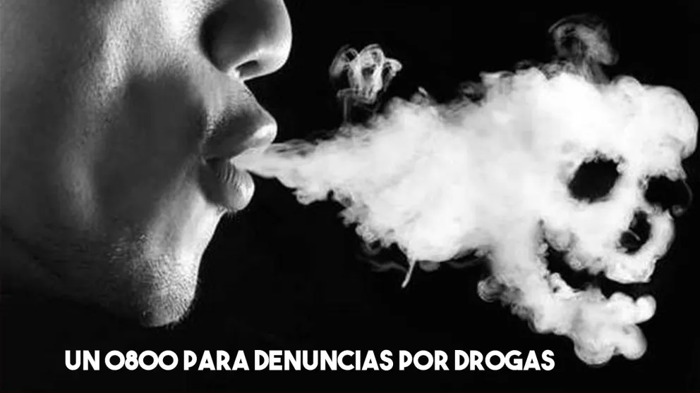Ofrecen diversos servicios relacionados al combate de las adicciones y el narcotráfico