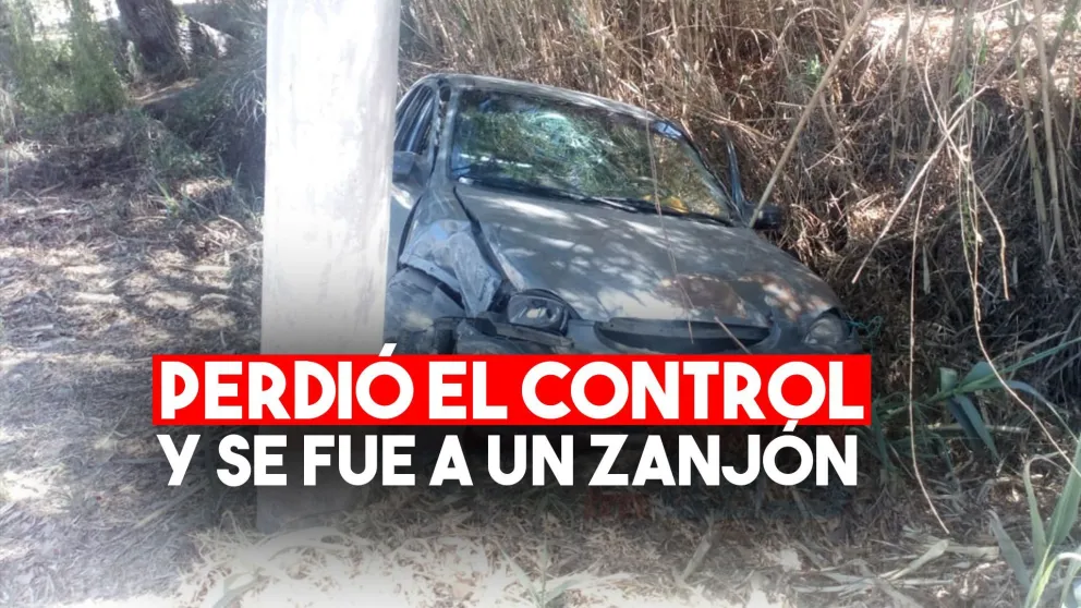 Perdió el control del auto y terminó con su familia en un zanjón