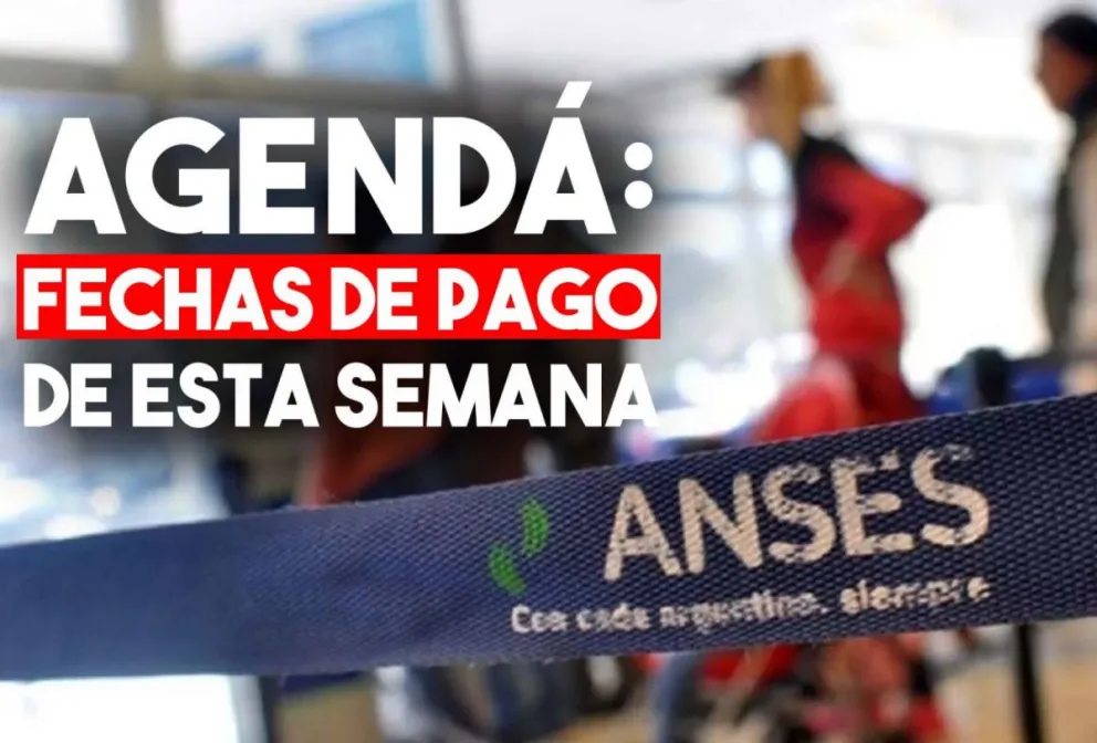 ANSES: quiénes cobran esta semana la AUH y el SUAF