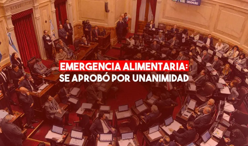 Por unanimidad, el Senado convirtió en ley la Emergencia Alimentaria