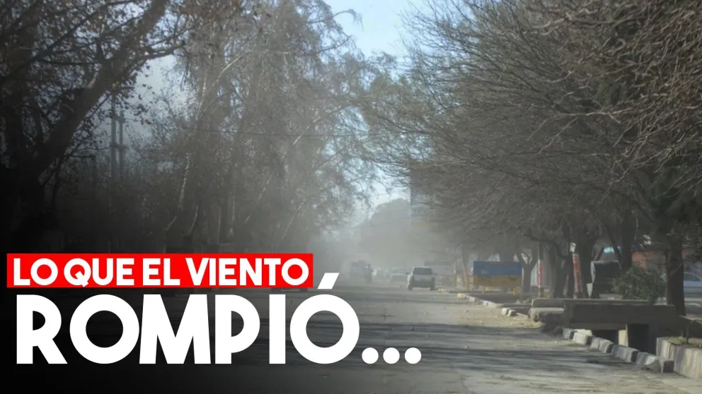 Lo que dejó el ventarrón: incendios, ramas caídas y cortes de luz
