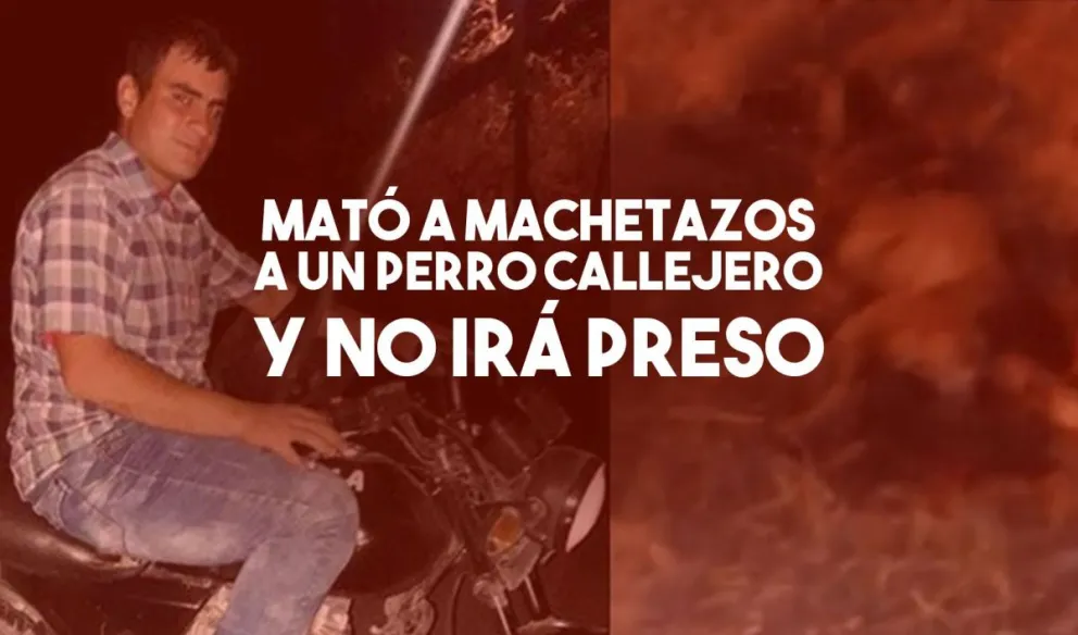 Justicia inédita: condenaron a un hombre que mató a machetazos a un perro