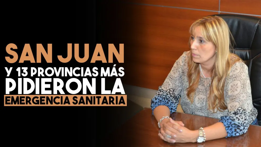 San Juan y otras 13 provincias pidieron la Emergencia Sanitaria